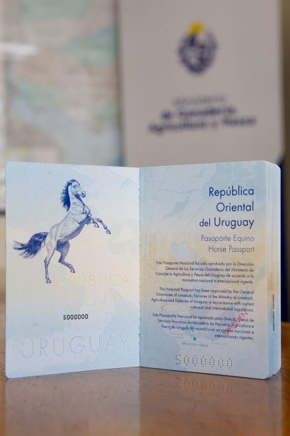  nuevo pasaporte único para caballos