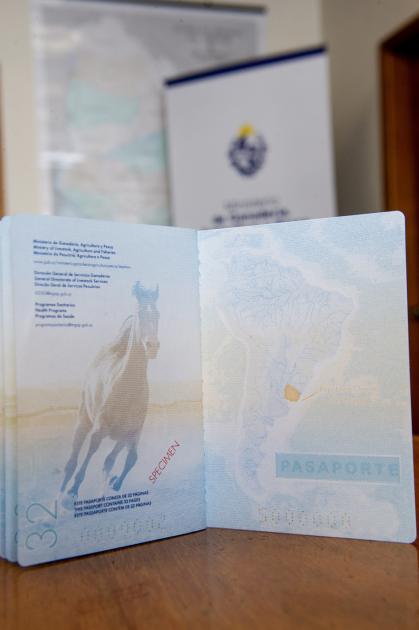  nuevo pasaporte único para caballos