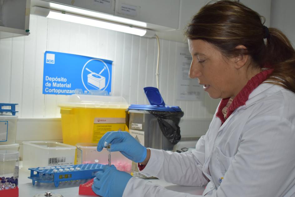 Proceso de extraccion Ana Martinez
