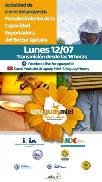 flyer UY miel flyer