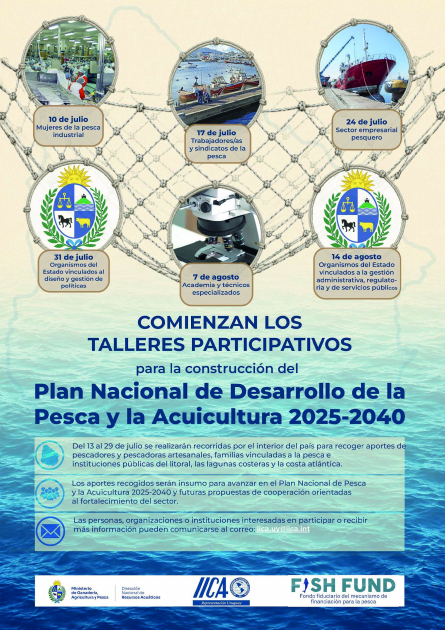 talleres pesca talleres pesca