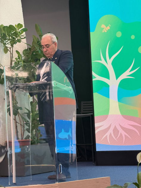 Discurso Fratti