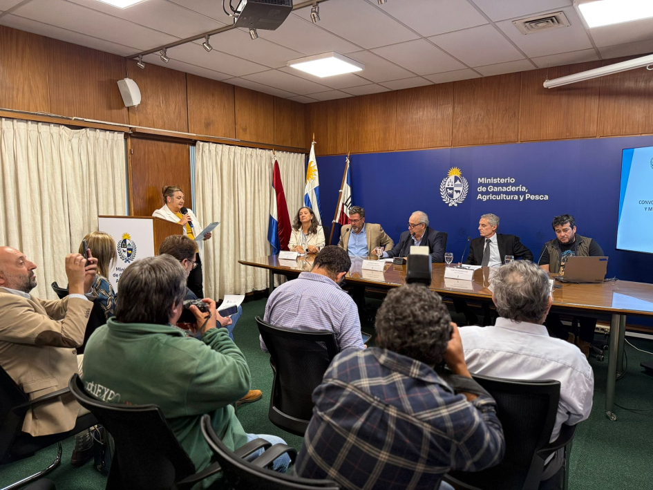 Conferencia de prensa