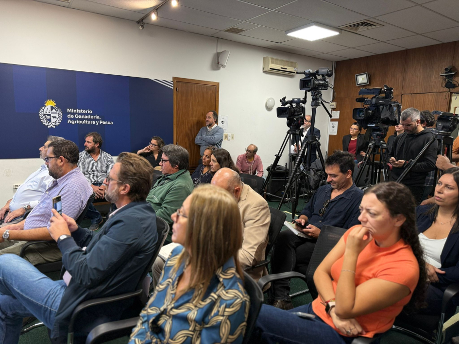 Conferencia de prensa