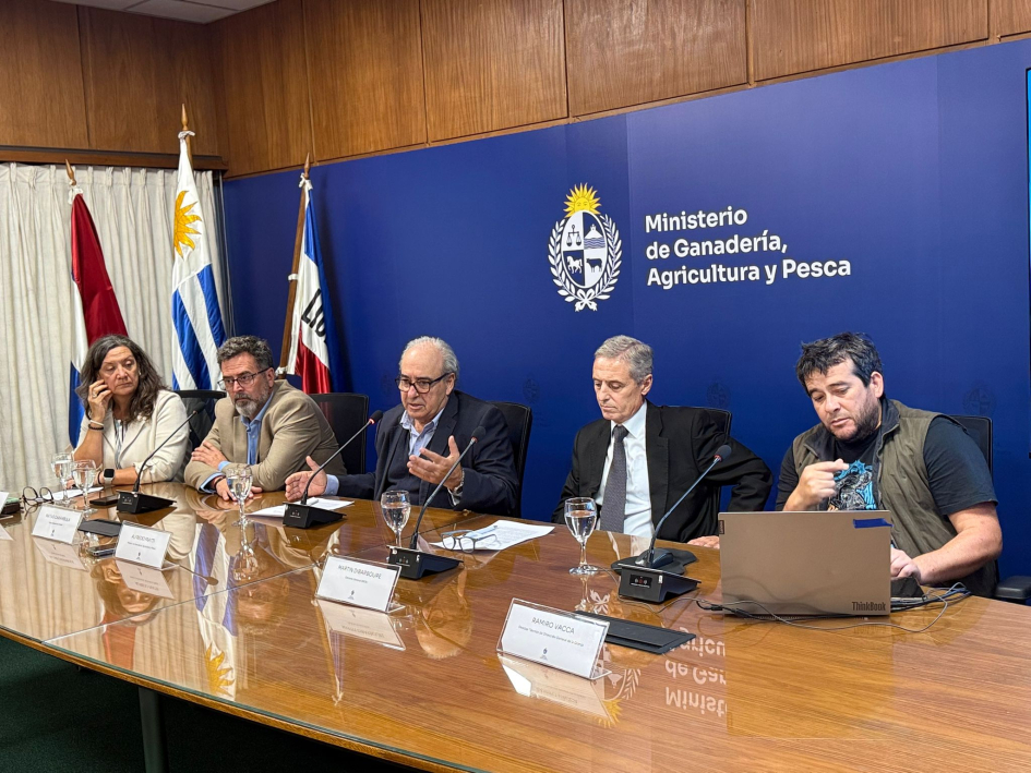 Conferencia de prensa