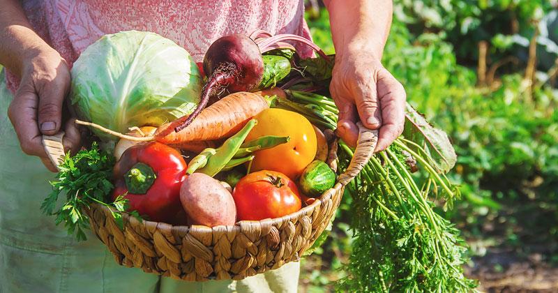 Seguridad Alimentaria en Uruguay 