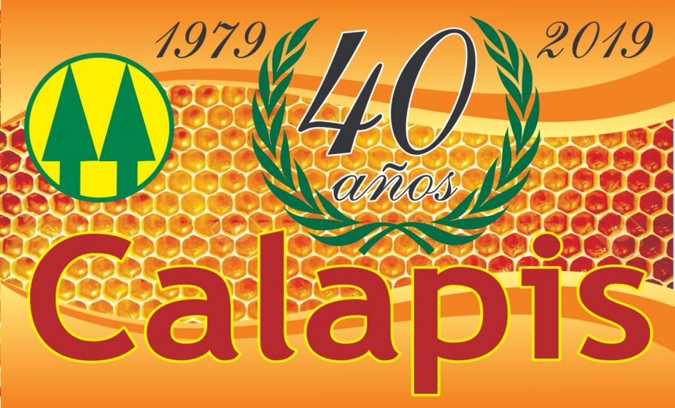 Las ventas al Estado permitieron a los apicultores de Calapis logo de Calapis