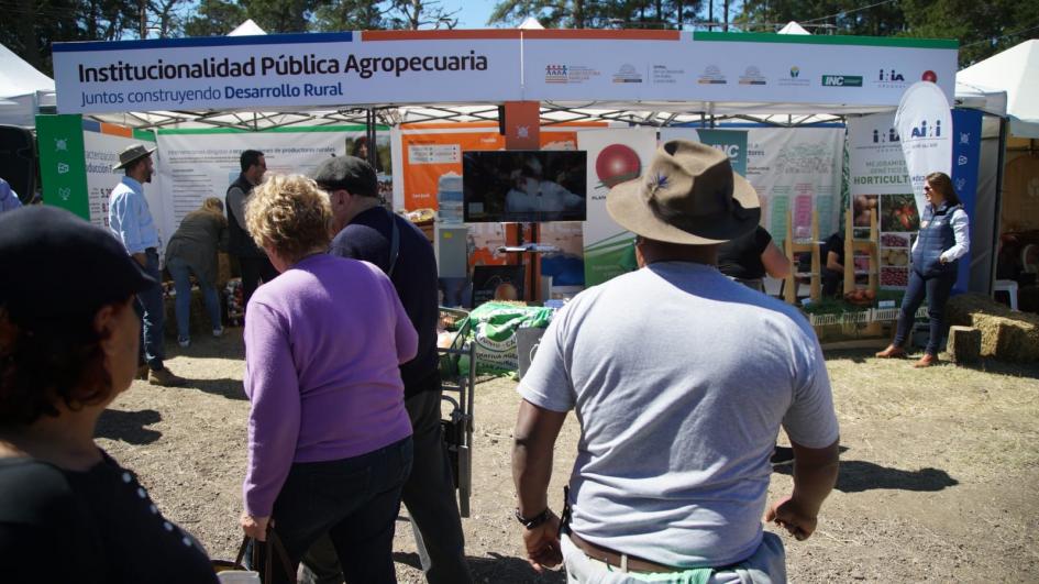 Fiesta de la chacra 2019 Fiesta de la chacra 2019