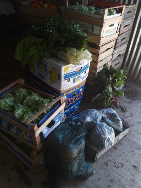 CALESFRA realizó una venta al Estado Cajón de hortalizas