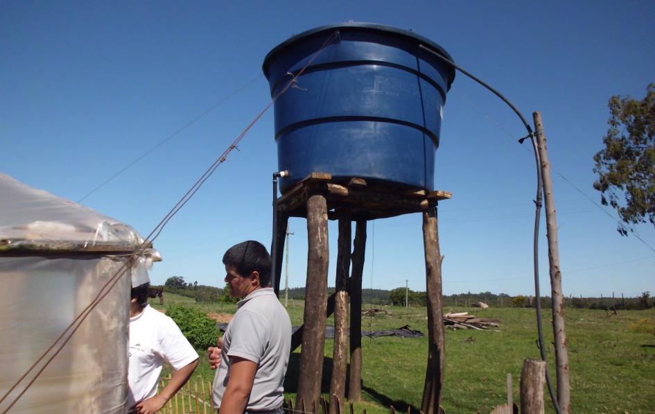 Productores de sandía de Rivera Productores de sandía de Rivera