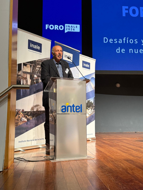 Foro Inale Foro Inale