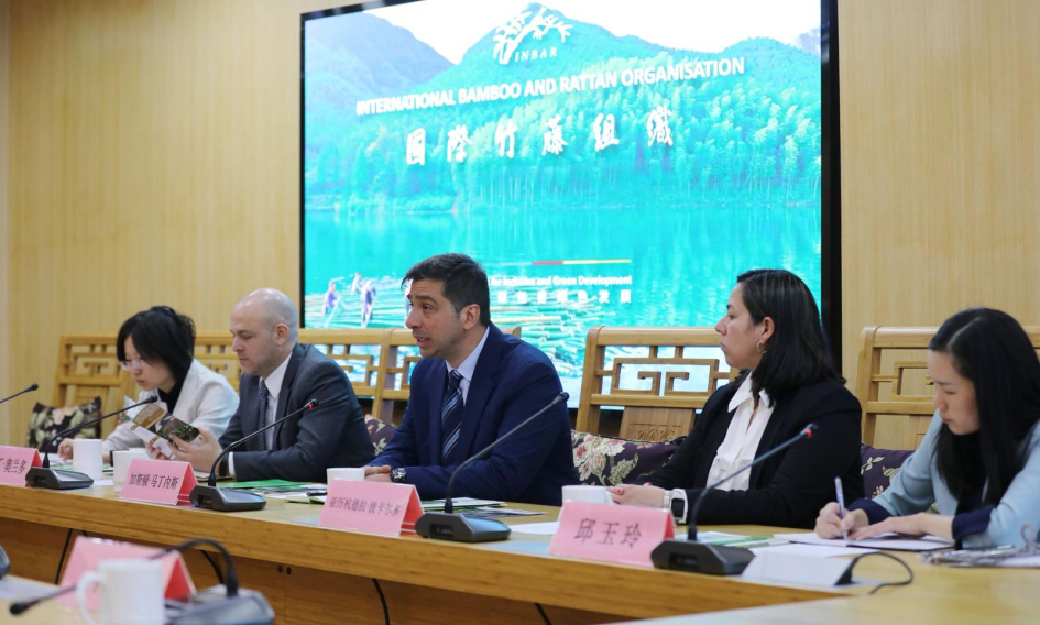 Organización Internacional del Bambú y Ratán