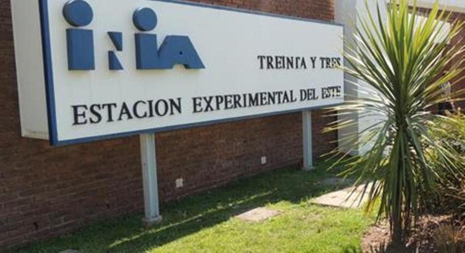 INIA33 INIA33