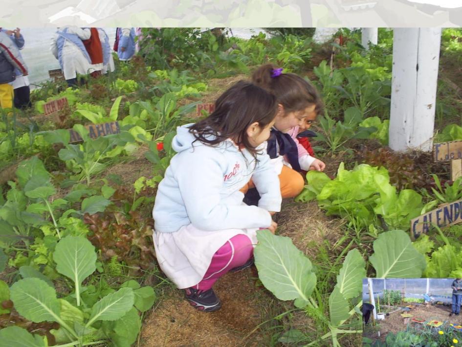 Centros educativos rurales se forman en BPA - 05