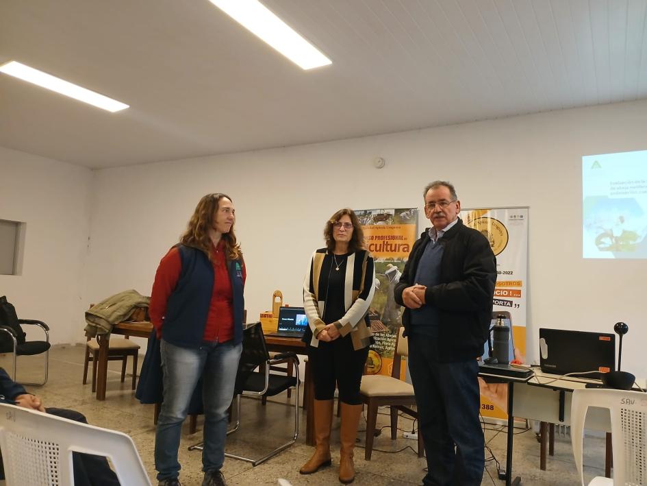 actividad SAU