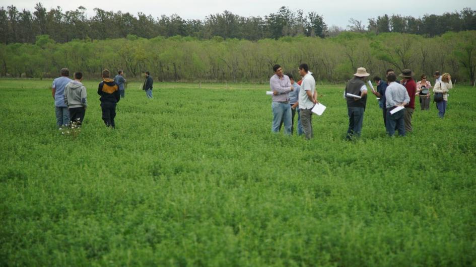 Más de 11.000 empresas de productores familiares se benefician de su Registro imagen de productores familiares