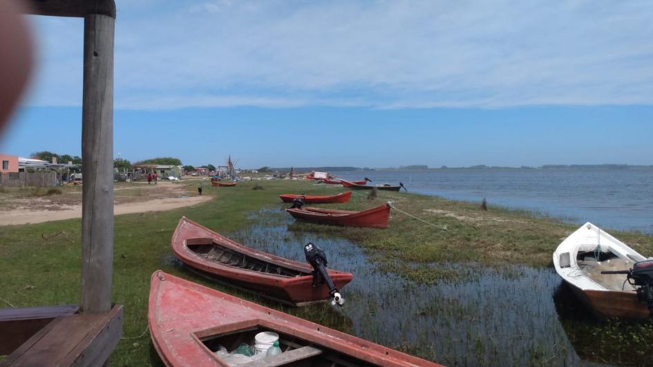 laguna de Rocha