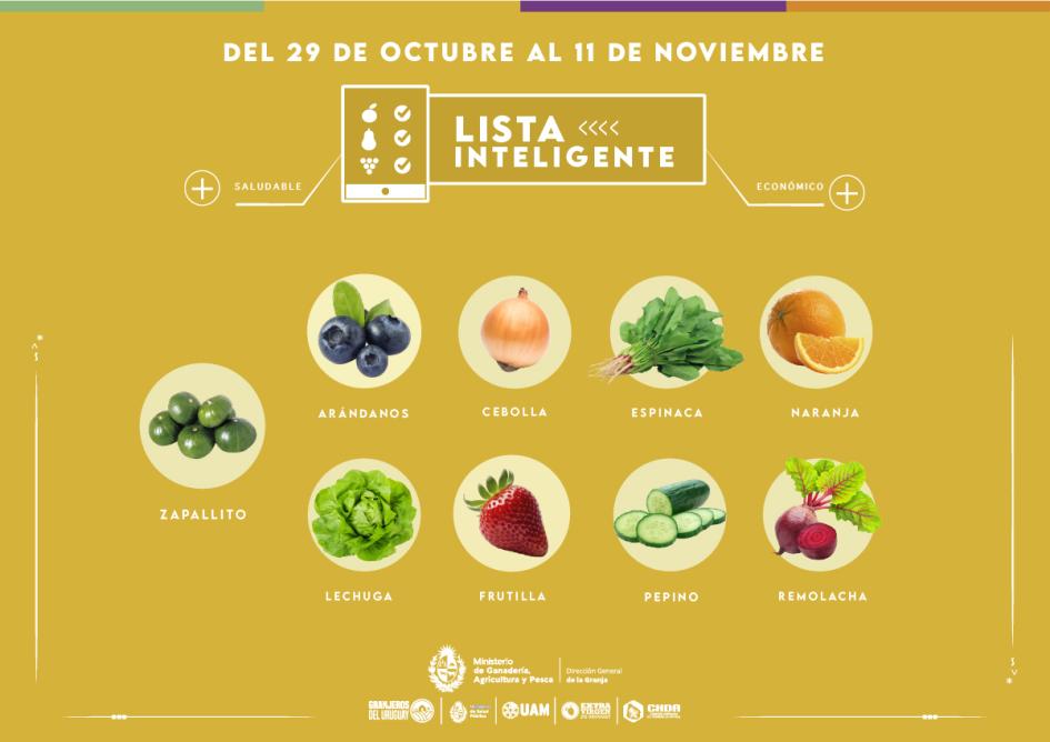 Lista Inteligente OCT Lista Inteligente OCT