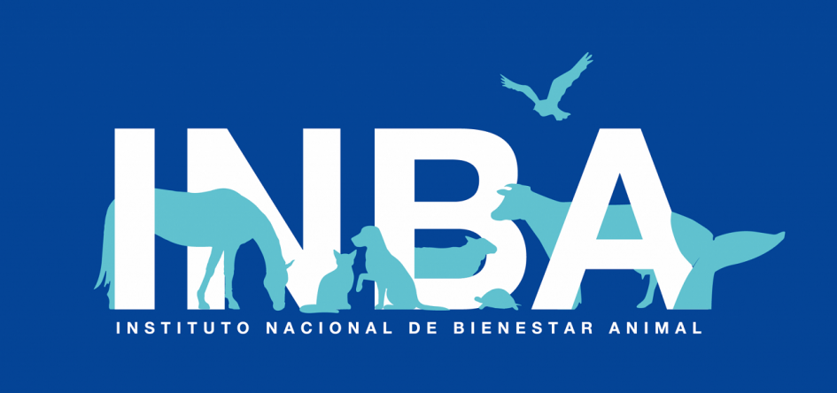 INBA INBA