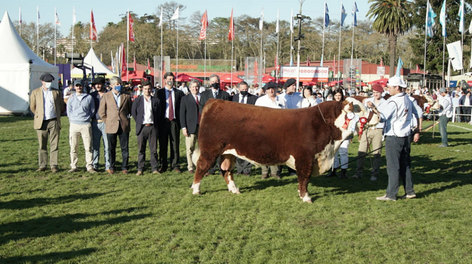Premiación Premiación