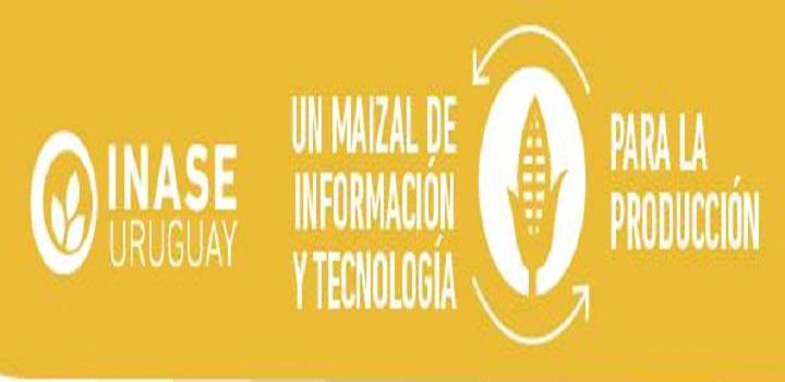 "Un maizal de información y tecnología para la producción" "Un maizal de información y tecnología para la producción"