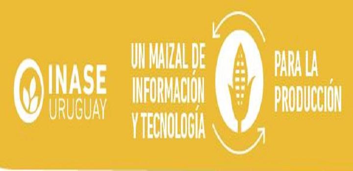 "Un maizal de información y tecnología para la producción"