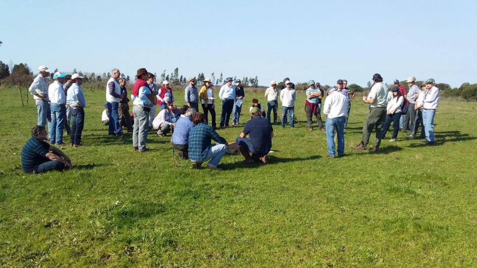Productores de Salto con el proyecto “Más ganadería de carne y lana” Productores ganaderos de Salto