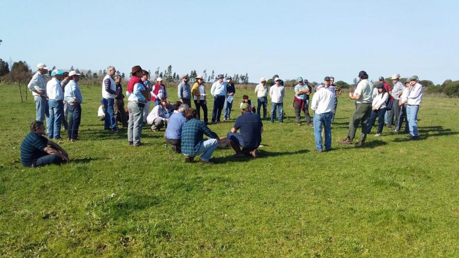 Productores ganaderos de Salto 