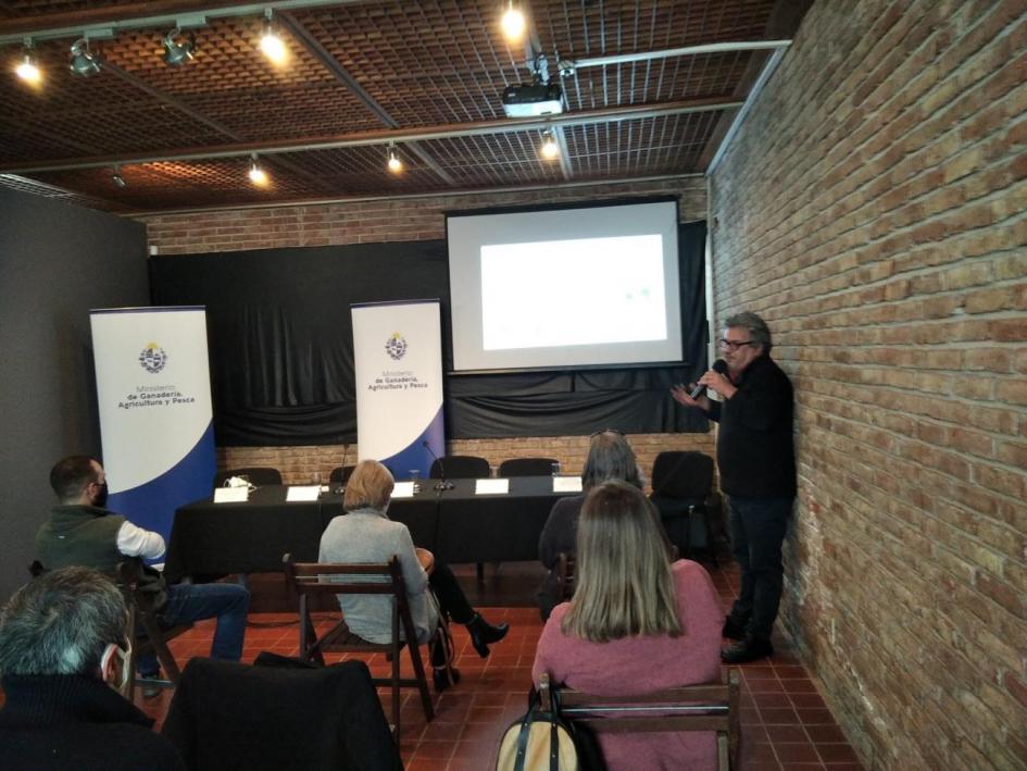 Charla DINARA Charla DINARA