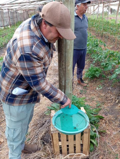 emprendimiento canario emprendimiento canario