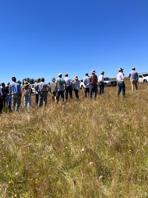 técnicos en jornada sobre silvopastoreo