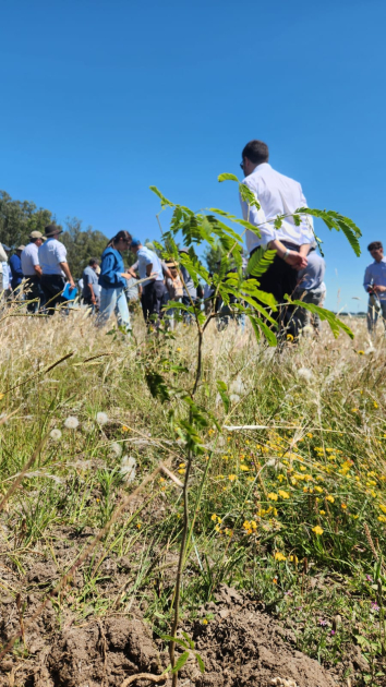 técnicos en jornada sobre silvopastoreo