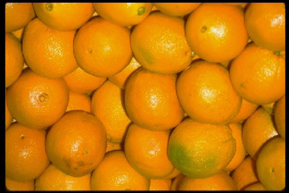 naranjas Naranjas