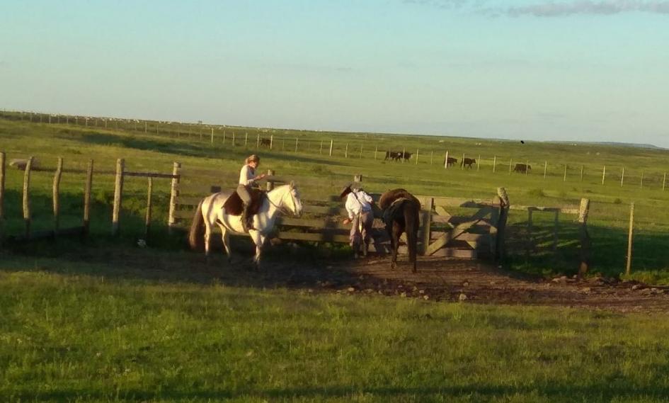 imagen de jóvenes rurales en el campo