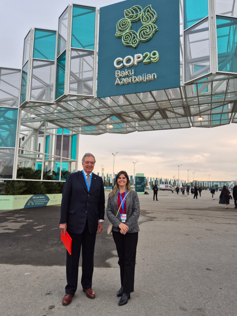 COP29 COP29