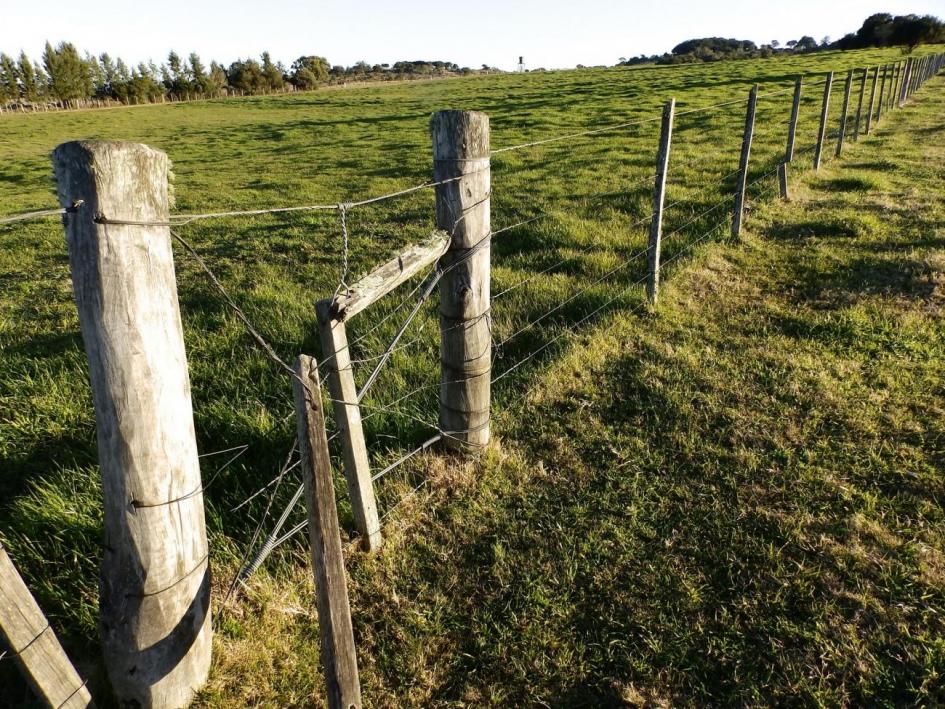 Convocatoria MGAP de proyectos Más agua para el desarrollo rural imagen de campo alambrado