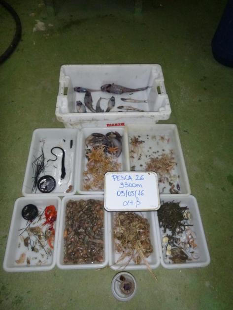 pesca científica pesca científica