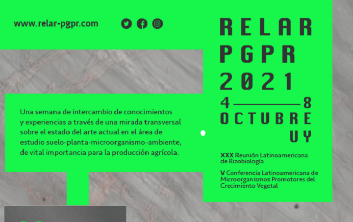 Relar Relar