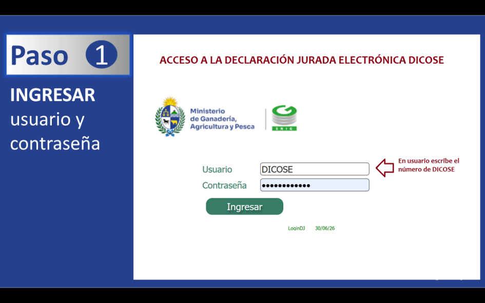 Sigue estos 4 pasos para realizar Declaración Jurada Electrónica