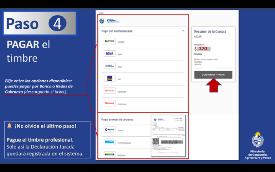 Sigue estos 4 pasos para realizar Declaración Jurada Electrónica
