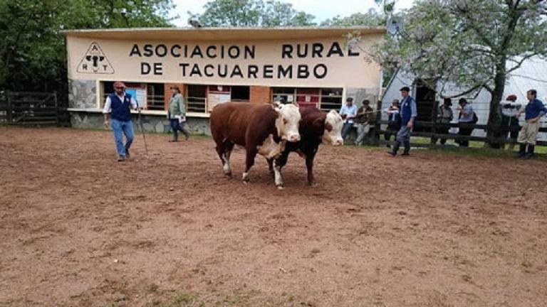 Expo Tacuarembó