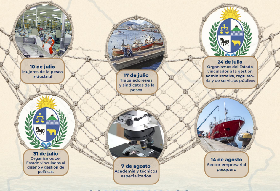 talleres de pesca talleres de pesca
