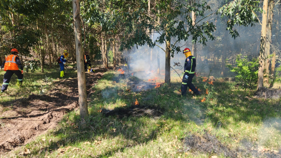 Capacitación para prevenir incendios forestales