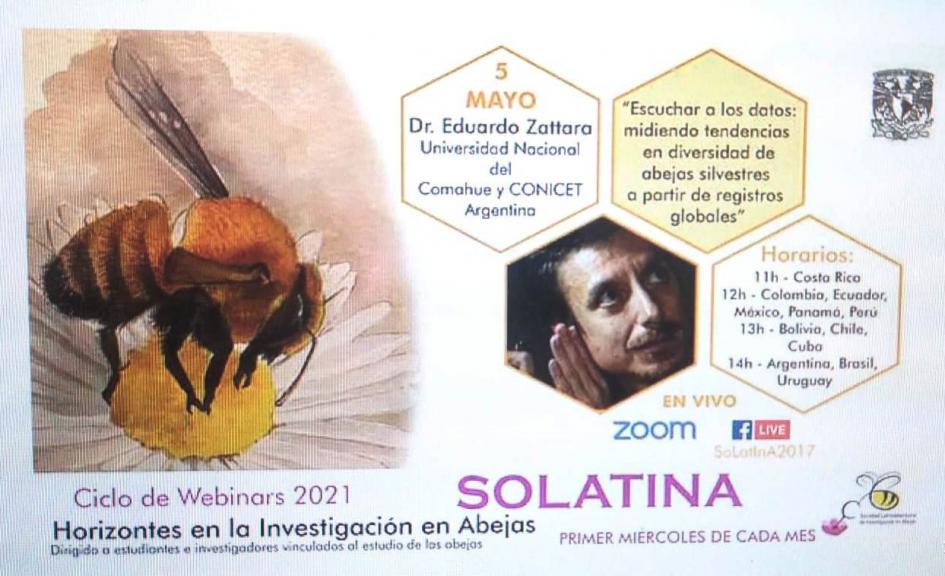 Charlas solatina webinar solatina