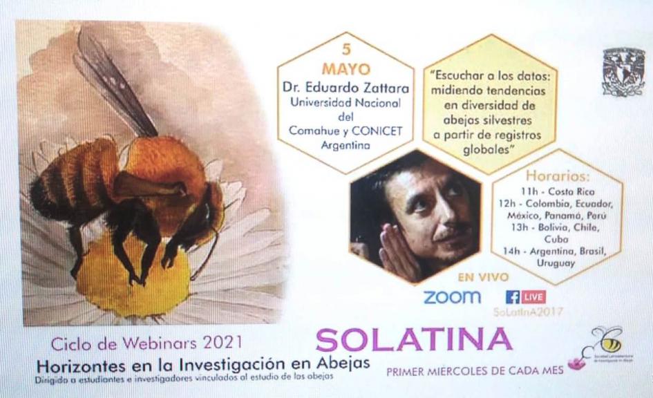 webinar solatina