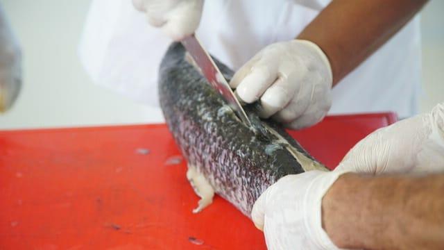 Pescadores artesanales de Andresito se capacitan