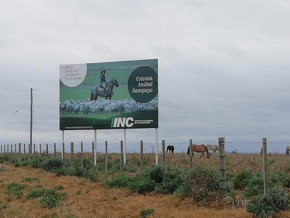 Electrificación rural y apoyo a la producción: las políticas públicas en la Colonia Aníbal Sampayo Cartel colonia INC Aníbal Sampayo