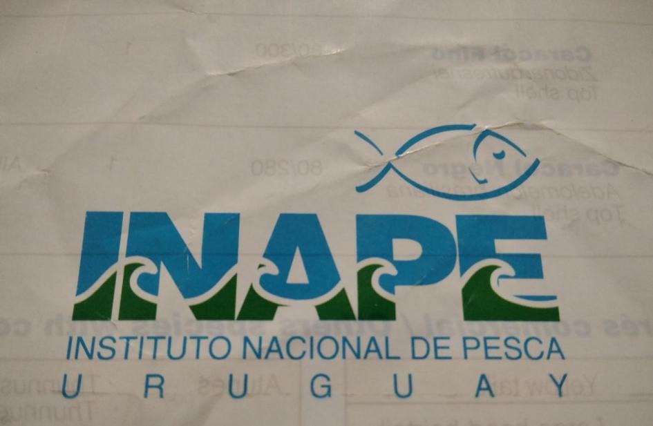 logo INAPE logo INAPE