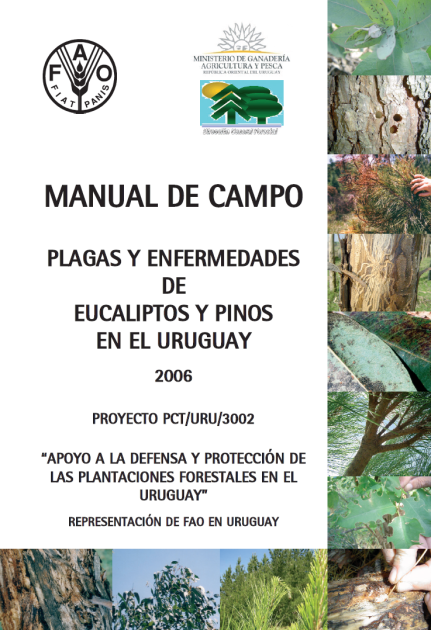Caratula Caratula
