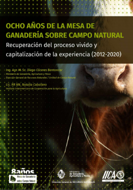 Campo natural y ganadería 